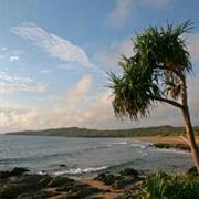 Curtis Island National Park (QLD)