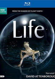 Life (2009)