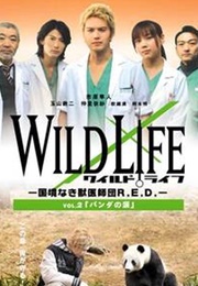 Wild Life (2008)