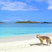 Fraser Island, Australia