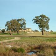 Amstel (Ranfurlie Course)