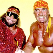 The Mega Powers