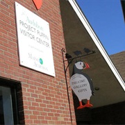 Project Puffin Audubon Center