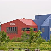 Great Lakes Aquarium