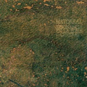 Matorral - Resonancia En La Zona Central