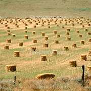Pick Up, Haul & Stack Hay