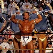 Lex Luger vs. Mr.Perfect,Wrestlemania IX