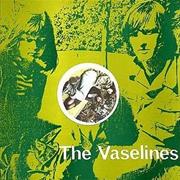 SON OF a GUN - VASELINES