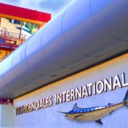 PLS - Providenciales Airport (Turks and Caicos Islands)