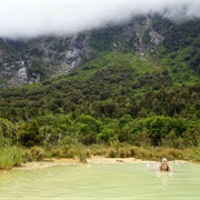 Copland Track to Welcome Flat Hut