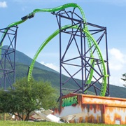 Bosque Magico, Mexico