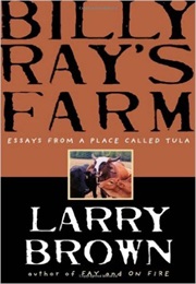 Bully Ray&#39;s Farm: Essays From a Place Called Tula (Larry Brown)