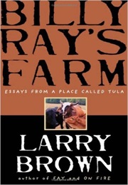 Bully Ray's Farm: Essays From a Place Called Tula (Larry Brown)