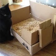 Choose Natural Cat Litter