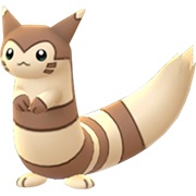 Furret