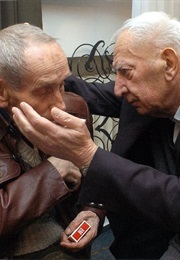 Sunlight and Shadow (2007)