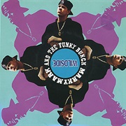 Wildside - Marky Mark & the Funky Bunch