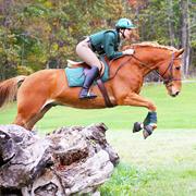Equine Sports