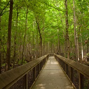Louisiana Purchase State Park, Arkansas