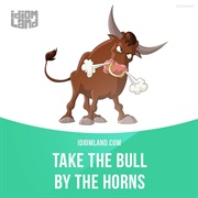 To Take the Bull by the Horns