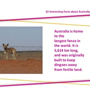 Home to the Longest Fence in the World (5,614 Km)