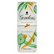 Gordons and Tonic With Cucumber