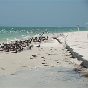 Cayo Costa State Park, Florida