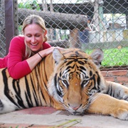 Hug a Tiger