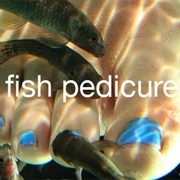 Get a Fish Pedicure
