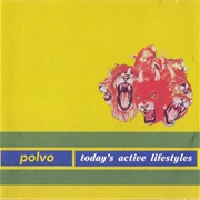 Polvo - Today&#39;s Active Lifestyles