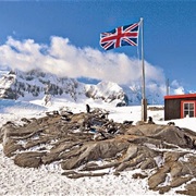 British Antarctic Territory (Graham, S.Orkney, S.Shetland)
