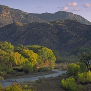Gila Riparian Preserve, New Mexico