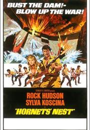 Hornets' Nest (Karlson & Cirino)