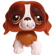 Littlest Pet Shop #229