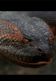 Anaconda