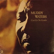 Muddy Waters- Can't Get No Grindin'
