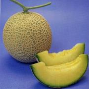 Shizuoka Melon