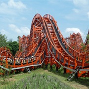 Cyclone (Nicco Park, India)