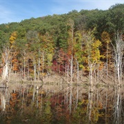 North Bend State Park, West Virginia