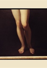 Pictures of Paintings (Richard Misrach)