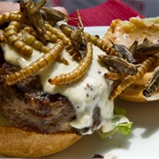 Cricket and Larvae Burger