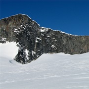 Bukkehøe (Bukkehøi)