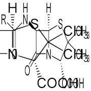 Structure of Penicillin Discovered (1949)
