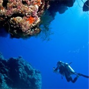 Diving in Djibouti