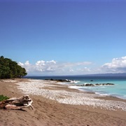 Matapalo, Costa Rica