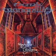 Dark Tranquillity the Gallery