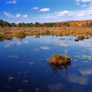 Tobyhanna State Park