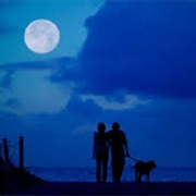 Moonlight Walk on the Beach
