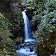 Avalanche Creek Shelter