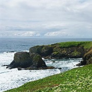 Yaquina Head Outstanding Natural Area